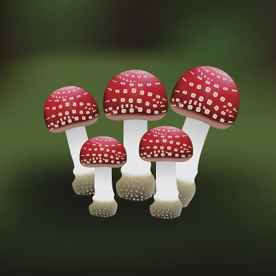 红色蘑菇的插图