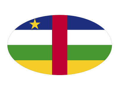 中非共和国旗