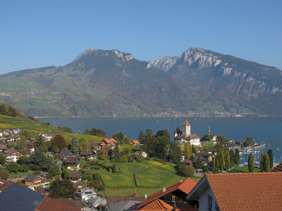 伯恩斯奥博兰(Bernese Oberland)田园诗般的斯皮兹村(Village Spiez)