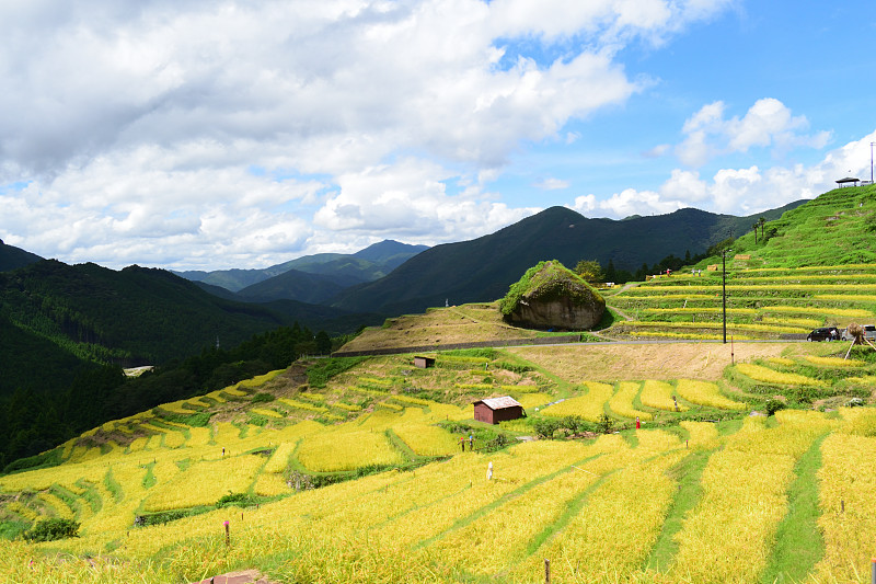 1000，平山市