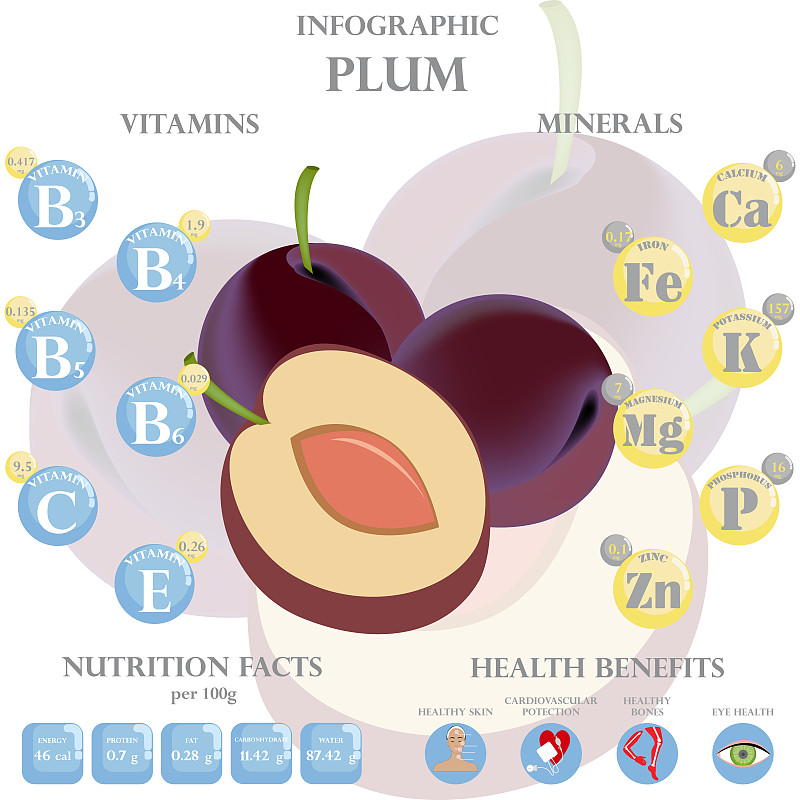 梅子的营养事实和健康益处信息图表