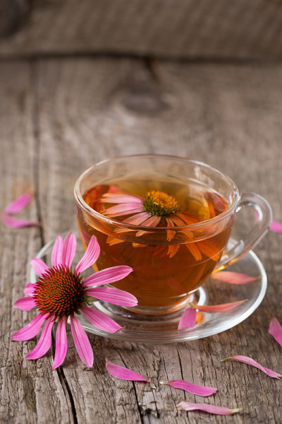 旧木桌上放着一杯紫锥菊茶