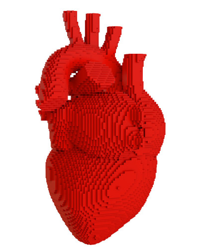 3d打印心脏分离物