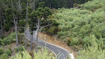 Tenerife岛