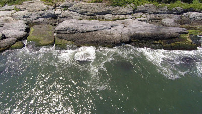 纽波特海岸
