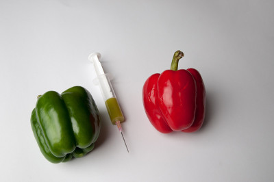 带注射器的青椒和芦椒。转基因生物