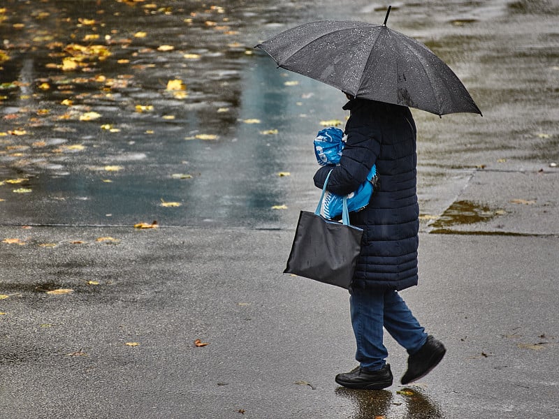 一个人撑着伞在雨中行走。一个人撑着伞走过潮湿的街道。在雨中打着伞的人。秋叶落在潮湿的街道上。