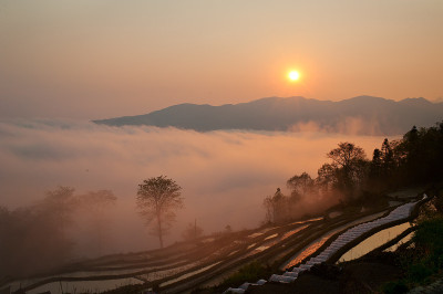 水稻梯田