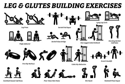 Legs and glutes building exercise and muscle build