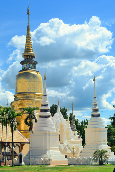 泰国清迈美丽的寺庙(Wat Suan Dok)