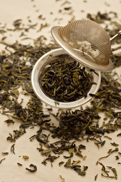 茶鼓吹者