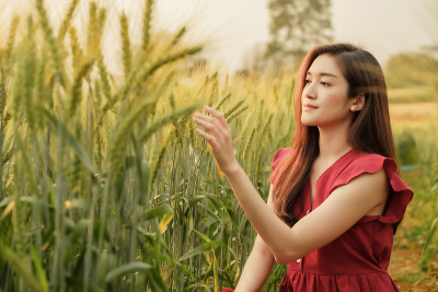 亚洲旅行者穿着衣服愉快地走在小麦农场，自由的生活方式度假
