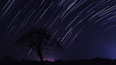 黑夜里，星星在一棵树后面留下痕迹。用纹理和选择白平衡。通过长时间曝光拍摄。