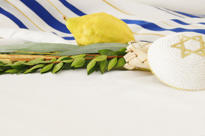 犹太住棚节的宗教形象。传统符号(四种):Etrog, lulav, hadas, arava