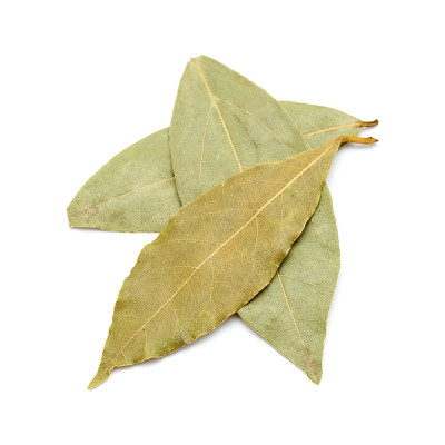 孤立的干月桂叶