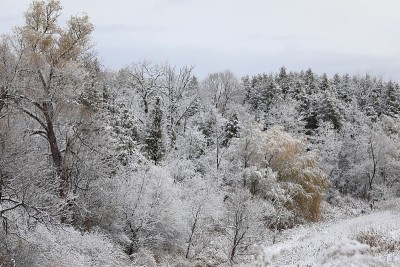 多伦多郊区下大雪