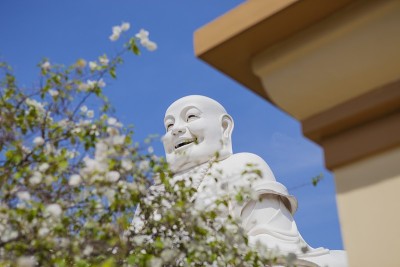 弥勒佛像位于越南前江省美寿市著名的永庄塔。