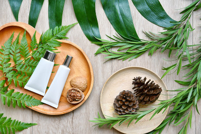 绿色草药叶化妆品瓶容器，品牌模型的空白标签包装，天然有机美容产品概念，纯化植物护肤的研发。