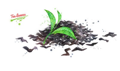 绿色和干茶叶的插图