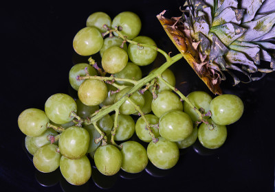 菠萝里的葡萄