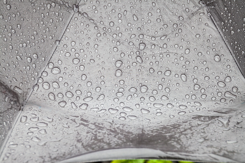 伞雨