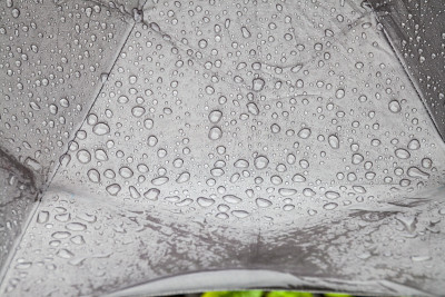 伞雨