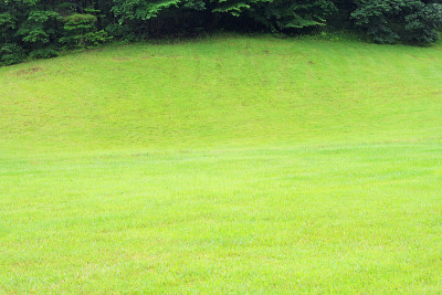 日本轻井泽小山上的绿草地。