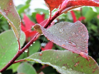 十月。雨天
