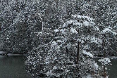 雪马瓦里泰克