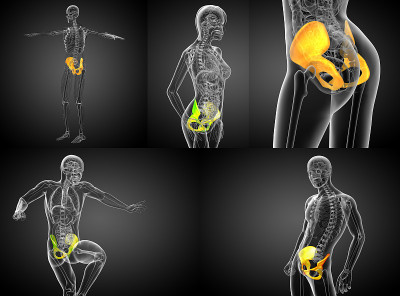 骨盆骨的3d渲染医学插图