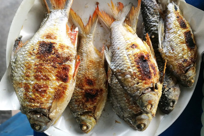 新鲜的烤红鲷鱼