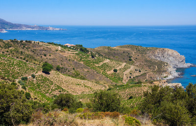 法国维梅尔海岸，地中海，东方比利牛斯山，Cerbere Banyuls海洋保护区的岩石海岸