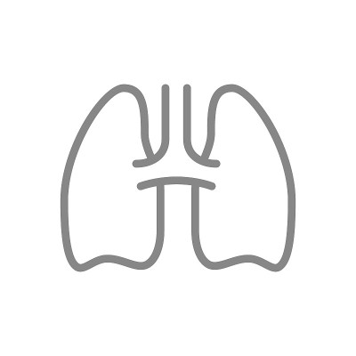 人体肺线图标。健康内脏符号