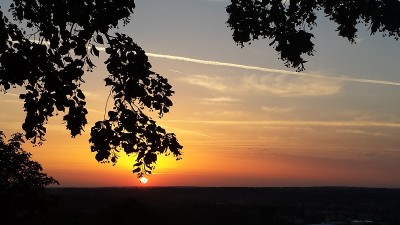 Angoulême上的日落和树(16)