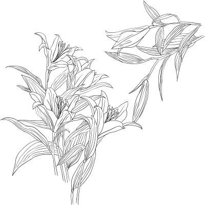花