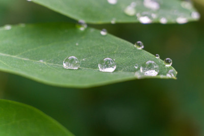 水滴