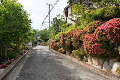 Hibarigaoka城市景观
