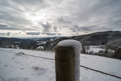 雪地