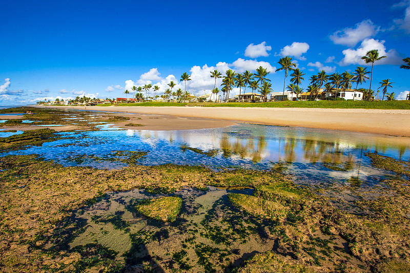 海滩在Lauro de Freitas Bahia