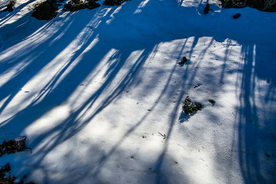 雪高原