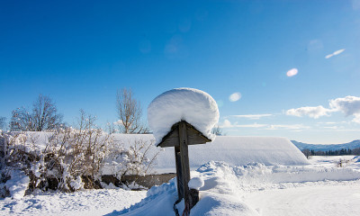 美丽的冬日雪地里
