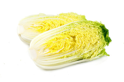 白底上的新鲜白菜