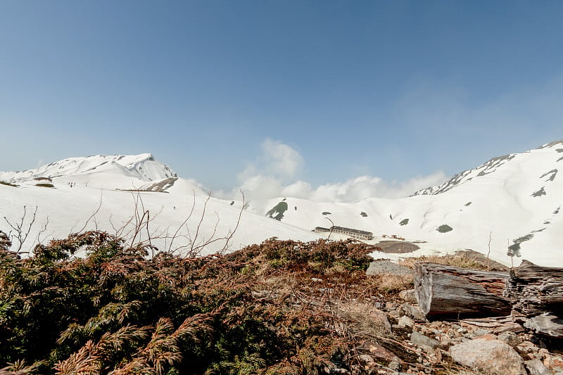 发现雪山在富山省，日本。这张照片摄于日本富山市