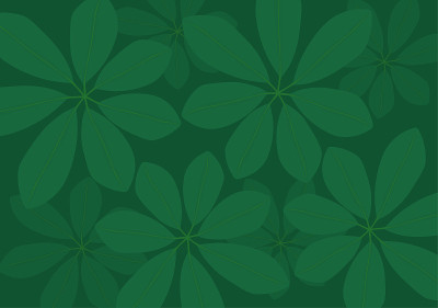 热带伞植物谢弗莱拉叶背景矢量插图