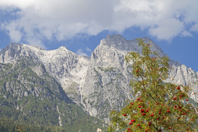 花楸树和Loferer Steinberge