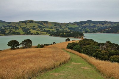 从Onawe观看，靠近Akaroa