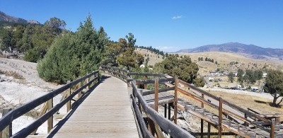 Boardwalk at Mammoth Hot Springs, Yellowstone Nati