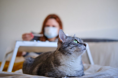 这只猫躺在一名患有冠状病毒的妇女的脚边。女孩躺在床上看温度计