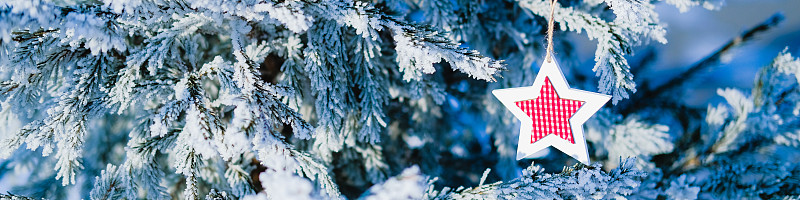 冬天的自然背景。在白霜的常青树。圣诞玩具装饰在松枝下近雪。