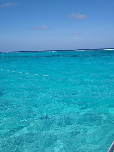 开曼蓝绿色的海
